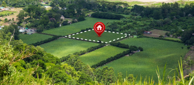 Land Sales & Acquisition